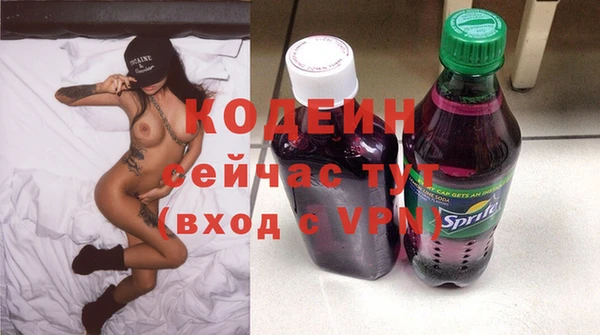 мдпв Анива