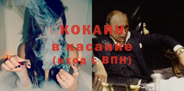 шишки Алзамай